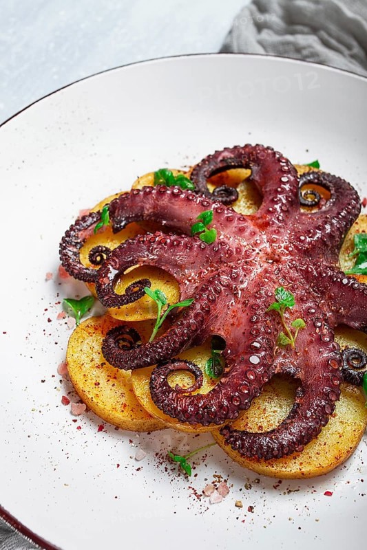 Octopus with potatoes and spices, on a light plate, top view, no people, homemade, close-up