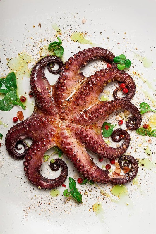 Boiled octopus, close-up, rustic style, no people, top view, close-up