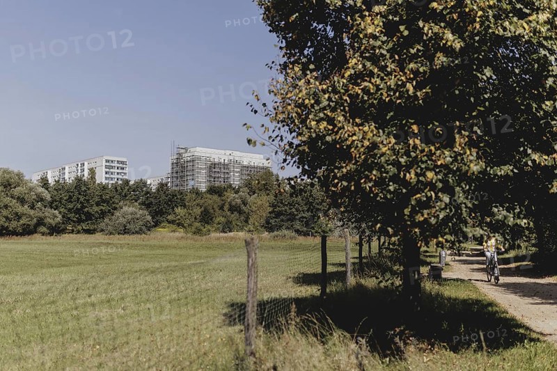 Blocks of flats in the countryside in Marzahn, photographed in Berlin, 07/08/2024