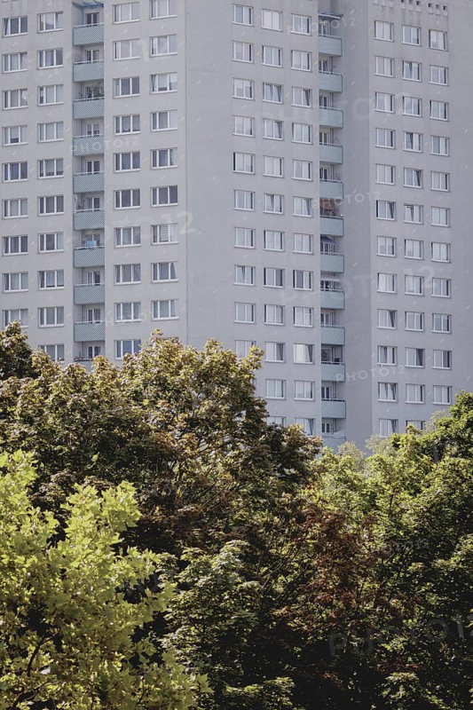 Green space in front of a block of flats, taken in Berlin, 07/08/2024