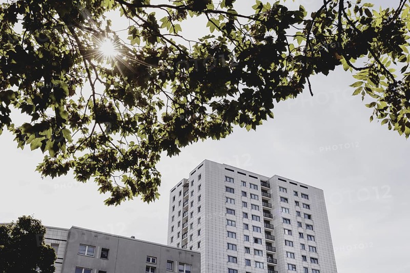 Blocks of flats in the countryside, photographed in Berlin, 07/08/2024