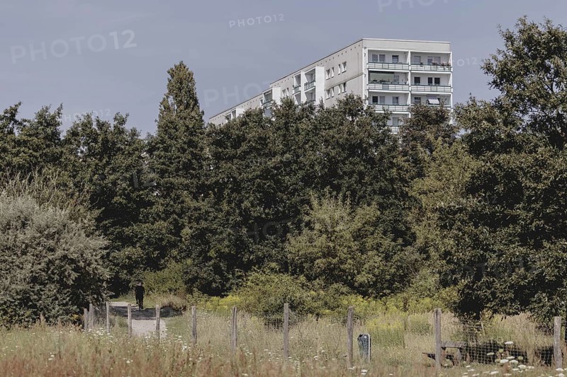 Blocks of flats in the countryside in Marzahn, photographed in Berlin, 07/08/2024