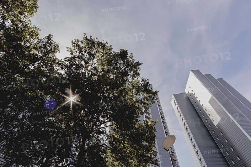 The sun shines through a green area in front of a block of flats, taken in Berlin, 07/08/2024