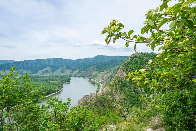 View from Dürnstein castle in spring, Dürnstein, Danubia river, Wachau, Austria, Europe
