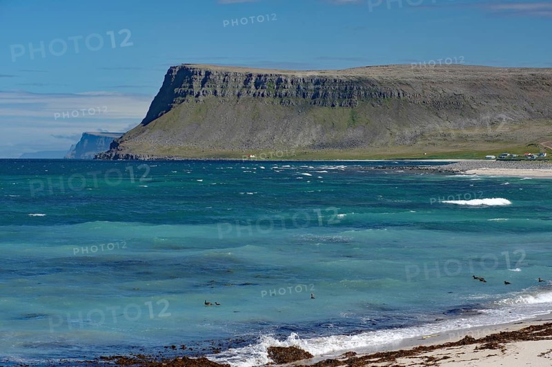A vast sea with imposing cliffs and blue water, surrounded by a green coastline, Latrabjarg, Vestfirdir Peninsula, Iceland, Europe
