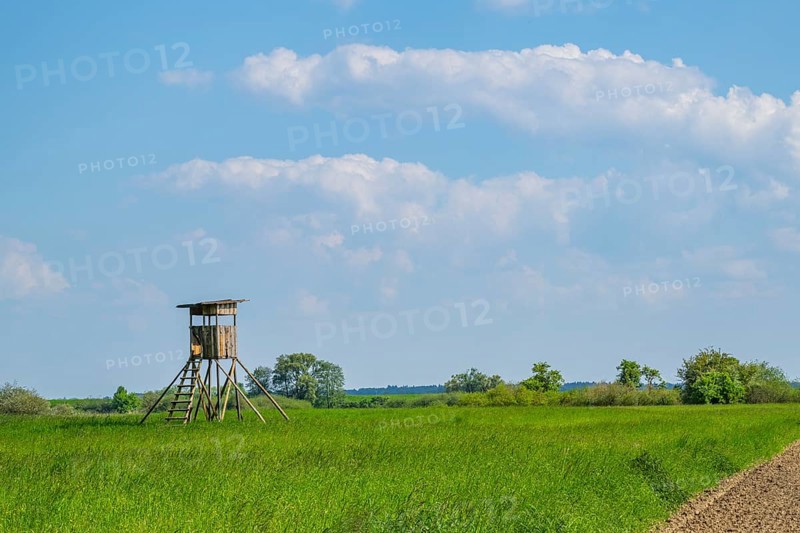 An hunting blind stands on a tall meadow, above it clouds in the sky near Pfatter, Upper Palatinate, Bavaria, Germany, Europe