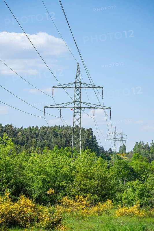 Power line in front of a blue sky above yellow flowering broom bushes, hairy greenweed (Genista pilosa), Spring, Bavaria, Germany, Europe