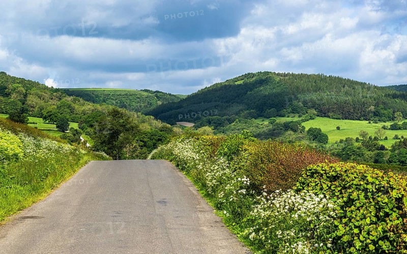 Farms in North York Moors National Park, Yorkshire, England, United Kingdom, Europe