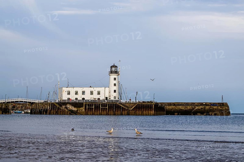 Scarborough Lighthouse and Harbour, Vincent Pier, Scarborough, North Yorkshire, England, United Kingdom, Europe
