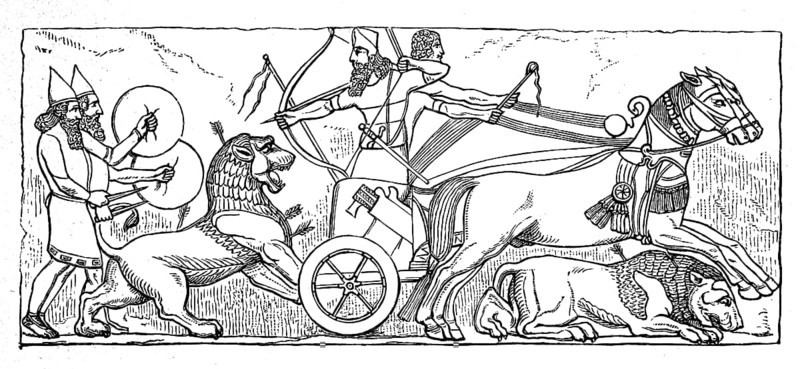 Assyrian warriors, lion hunt with a chariot, Assyria, Assyrian Empire, ca 800 BC, Illustration from 1890, Historical, digital reproduction of an original from the 19th century