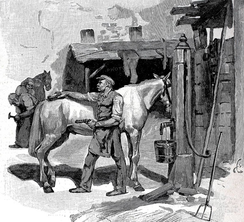 Groom and farrier of the Berlin cabmen, Germany, in 1895, Historical, digital reproduction of an original from the 19th century, Europe