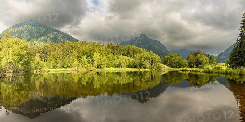 Water reflection in the moor pond, behind it Schattenberg and Riefenkopf, near Oberstdorf, Oberallgäu, Allgäu, Bavaria, Germany, Europe