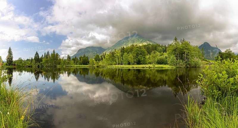 Water reflection in the moor pond, behind it the Schattenberg, near Oberstdorf, Oberallgäu, Allgäu, Bavaria, Germany, Europe