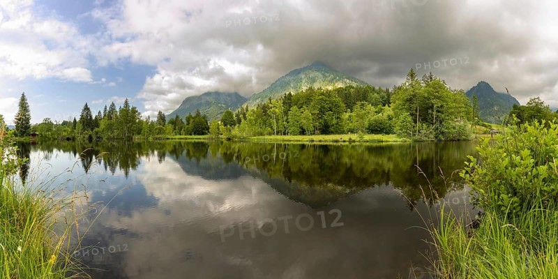 Water reflection in the moor pond, behind it the Schattenberg, near Oberstdorf, Oberallgäu, Allgäu, Bavaria, Germany, Europe