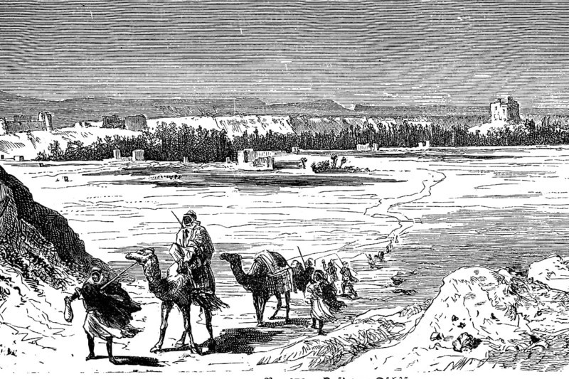 Camel caravan in the Arabian desert, 1890 / Kamelkarawane in der arabischen Wüste, 1890, Historical, digital reproduction of an original from the 19th century