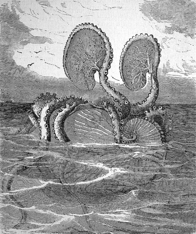 Fantasy depiction of a paper boat on the surface of the sea from 1868, paper boats or argonauts, Argonauta, are a genus of cephalopods in the octopus family, historical, digital reproduction of an original from the 19th century