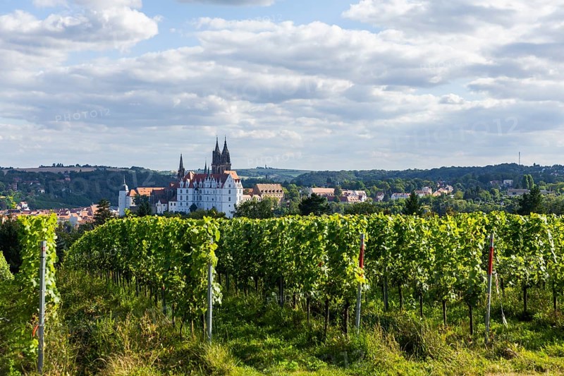 Proschwitz Castle is a castle in the neo-baroque style in the Meissen district of Proschwitz in the district of Meissen. Attached to it is Saxony's oldest still existing private winery in Proschwitz. Since 2021, the vinotheque has been located in the old servants' house at Proschwitz Castle, Meissen, Meissen, Saxony, Germany, Europe