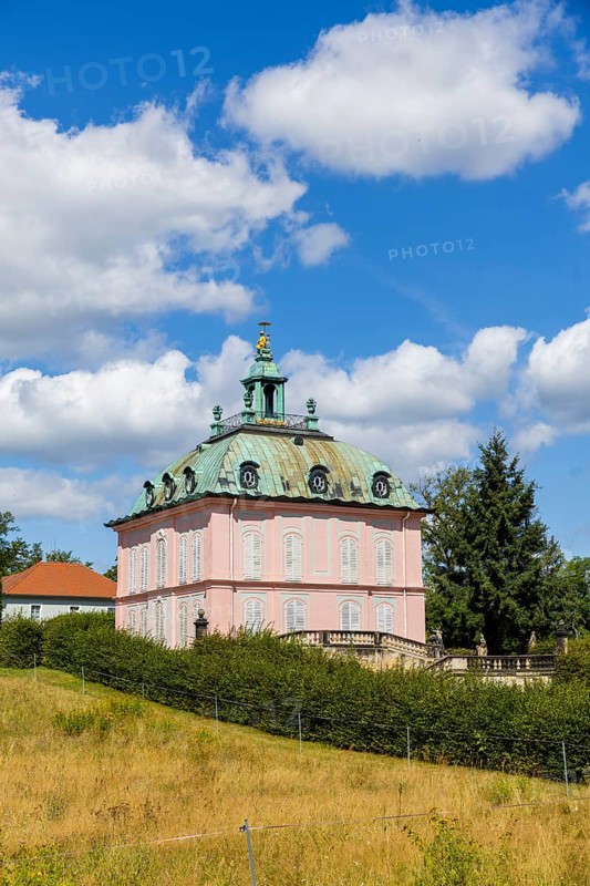 The Fasanenschlösschen is a castle complex in the municipality of Moritzburg near Dresden, which was built on behalf of the Princely House of Wettin. It is located in the pheasantry laid out in 1728 in the castle park of Moritzburg and is named after the pheasant breeding that took place there, Moritzburg, Moritzburg, Saxony, Germany, Europe