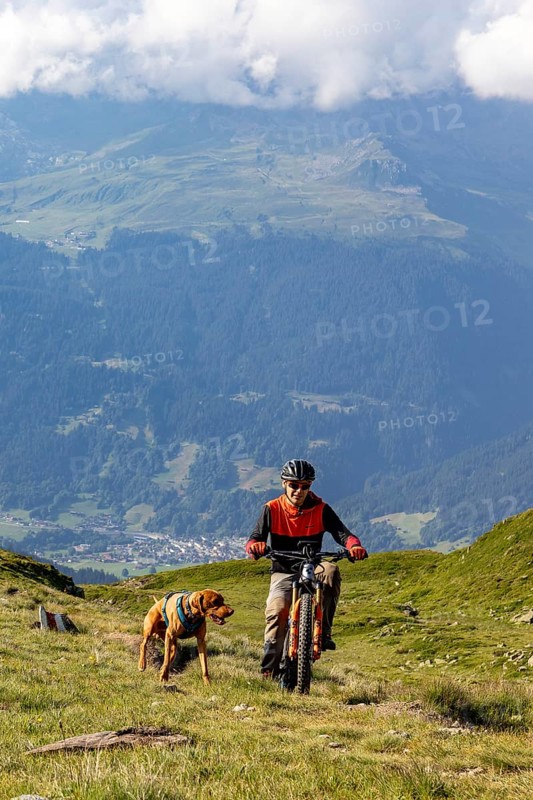Mountain biker with traildog, man with Vizsla dog on a bike trail, Pischa, Hüreli above Davos, Graubünden, Switzerland, Europe