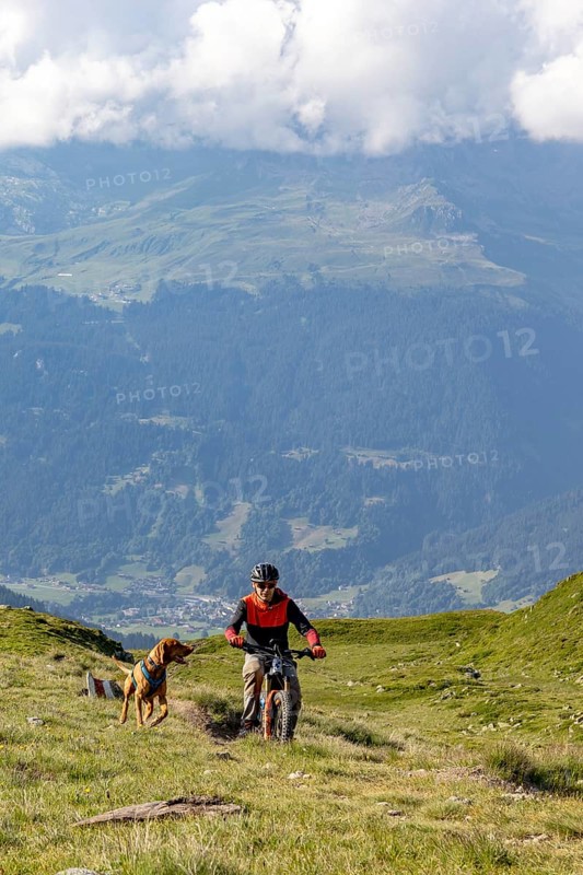 Mountain biker with traildog, man with Vizsla dog on a bike trail, Pischa, Hüreli above Davos, Graubünden, Switzerland, Europe