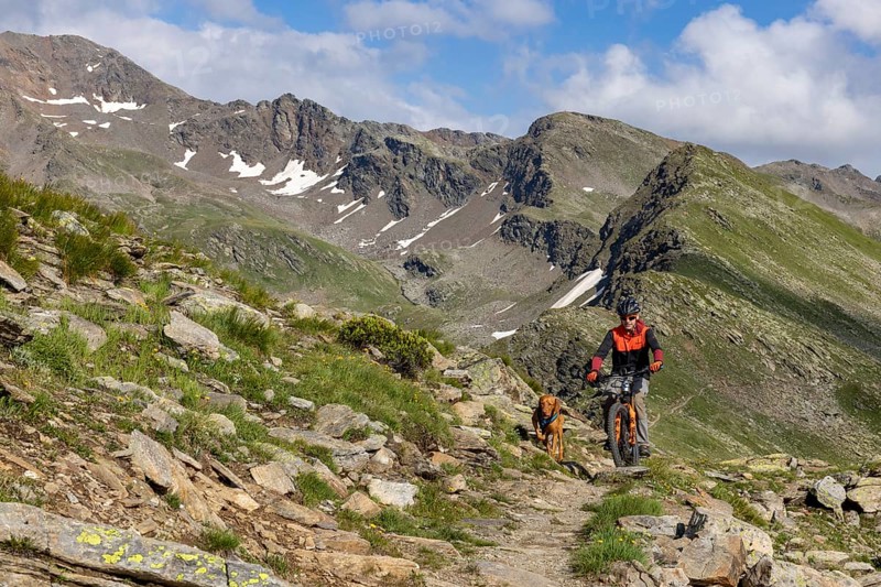 Mountain biker with traildog, man with Vizsla dog on a bike trail, Pischa, Flüela Pass, Grisons, Switzerland, Europe