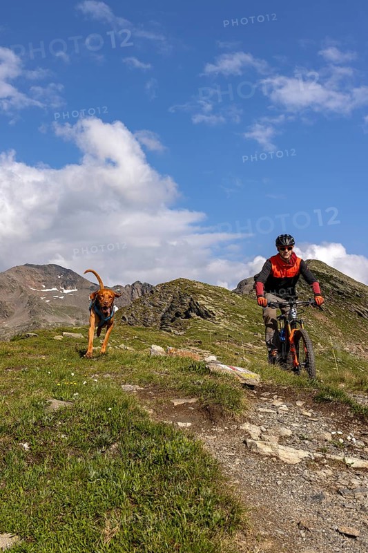 Mountain biker with traildog, man with Vizsla dog on a bike trail, Pischa, Flüela Pass, Grisons, Switzerland, Europe
