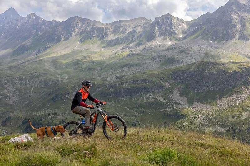 Mountain biker with traildog, man with Vizsla dog on a bike trail, Pischa, Flüela Pass, Grisons, Switzerland, Europe