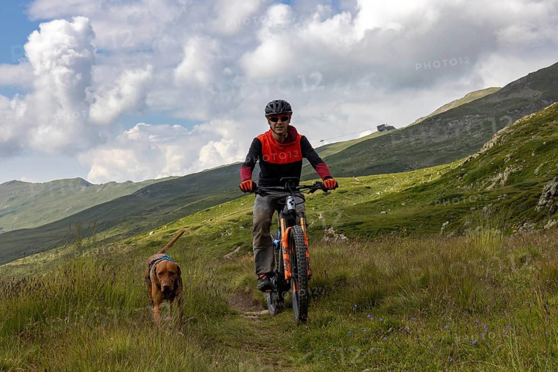 Mountain biker with traildog, man with Vizsla dog on a bike trail, Pischa, Flüela Pass, Grisons, Switzerland, Europe