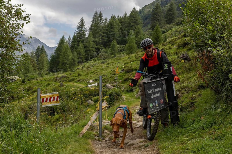 Mountain biker with traildog, man with Vizsla dog on a bike trail, Pischa, Flüela Pass, Grisons, Switzerland, Europe