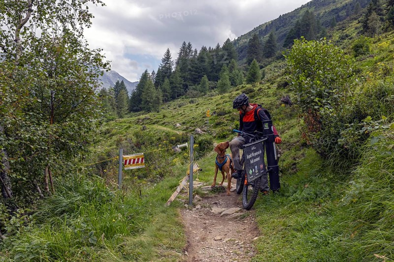 Mountain biker with traildog, man with Vizsla dog on a bike trail, Pischa, Flüela Pass, Grisons, Switzerland, Europe