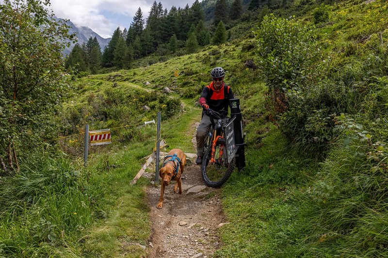 Mountain biker with traildog, man with Vizsla dog on a bike trail, Pischa, Flüela Pass, Grisons, Switzerland, Europe