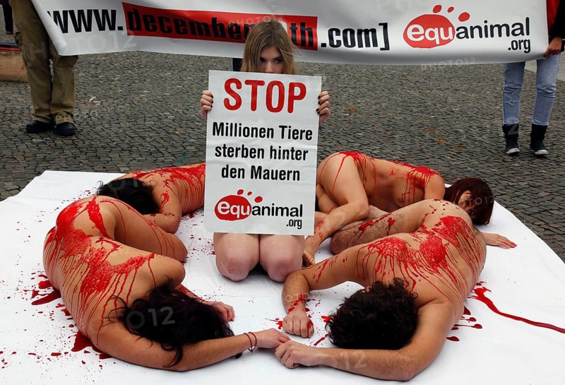 Berlin, 10.12.2009, Protest by the Spanish animal rights organisation Equanimal against animal testing, Berlin, Germany, Europe