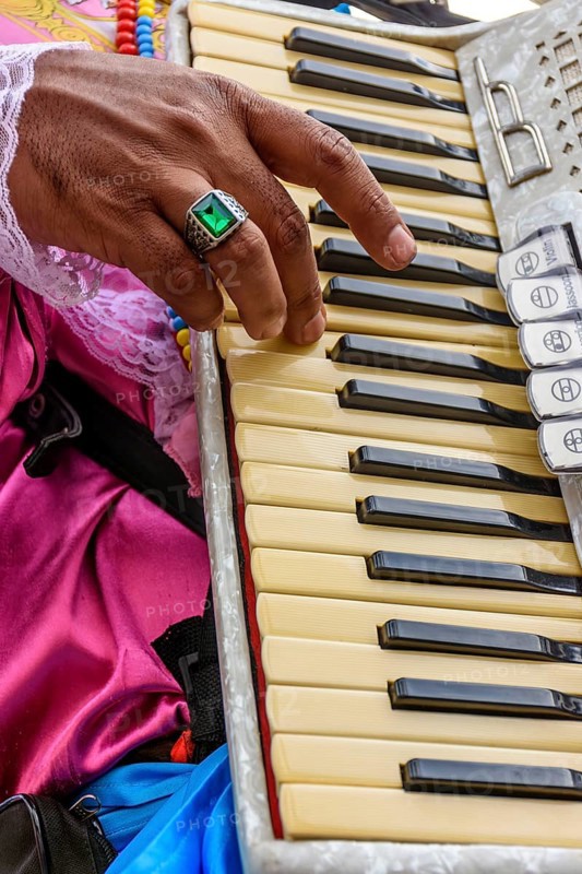 Accordionist's hands playing the keyboard of his instrument during a performance and popular party on the streets of Brazil, Belo Horizonte, Minas Gerais, Brazil, South America