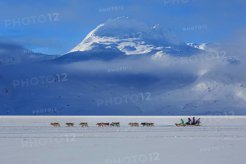 Tourists on dog sleds in front of snowy mountains, winter, sunny, Ammassalik District, East Greenland, Greenland, North America