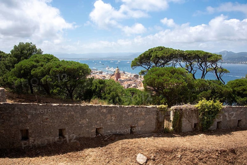 View over the roofs of Saint Tropez with the church Notre-Dame de l'Assomption, behind it the bay of Saint Tropez with numerous boats, Saint Tropez, Provence-Alpes-Côte d'Azur, France, Europe