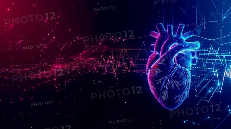 High-tech digital depiction of a human heart in neon blue and purple with heartbeat waveforms, AI generated