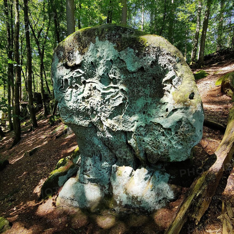 Honeycomb weathering in Luxembourg sandstone, Teuflische Acht hiking trail, Naturpark Südeifel, Irrel, Eifel, Rhineland-Palatinate, Germany, Europe