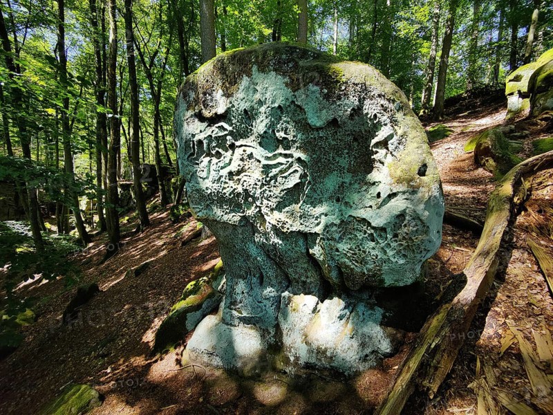 Honeycomb weathering in Luxembourg sandstone, Teuflische Acht hiking trail, Naturpark Südeifel, Irrel, Eifel, Rhineland-Palatinate, Germany, Europe