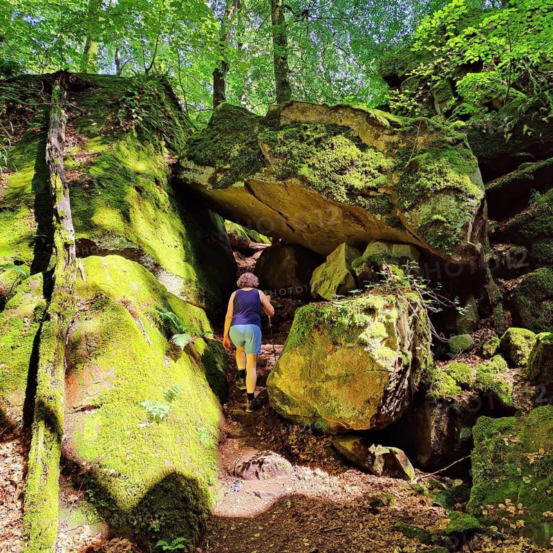 Devil's Eight hiking trail, Devil's Gorge, Ferschweiler Plateau, Southern Eifel nature park Park, Irrel, Eifel, Rhineland-Palatinate, Germany, Europe