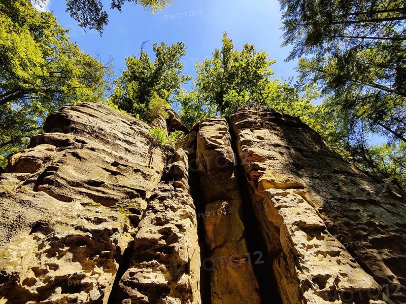 View along the Teuflische Acht hiking trail, Ferschweiler Plateau, Naturpark Südeifel, Irrel, Eifel, Rhineland-Palatinate, Germany, Europe