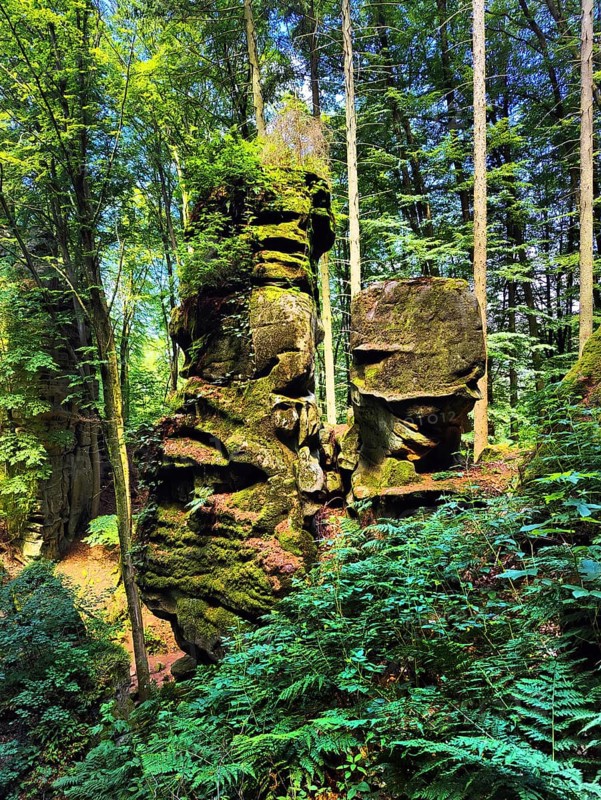 Rock towers in the forest, Teuflische Acht hiking trail, Ferschweiler Plateau, Naturpark Südeifel, Irrel, Eifel, Rhineland-Palatinate, Germany, Europe