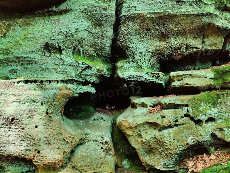 Weathering, Luxembourg sandstone, detail, Devil's Eight hiking trail, Southern Eifel nature park Park, Irrel, Eifel, Rhineland-Palatinate, Germany, Europe