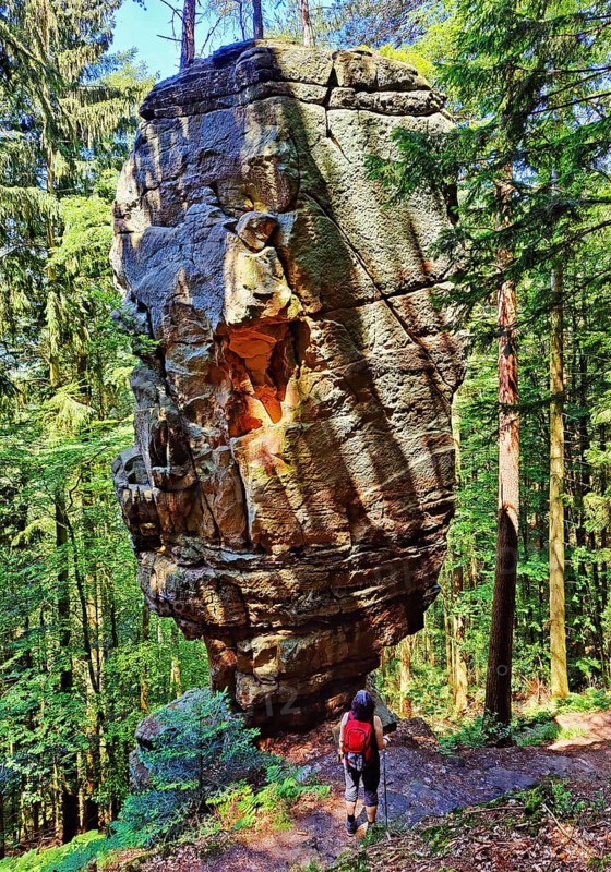 Bizarre rock Predigtstuhl on the Green Hell hiking trail, Southern Eifel nature park Park, Bollendorf, Eifel, Rhineland-Palatinate, Germany, Europe