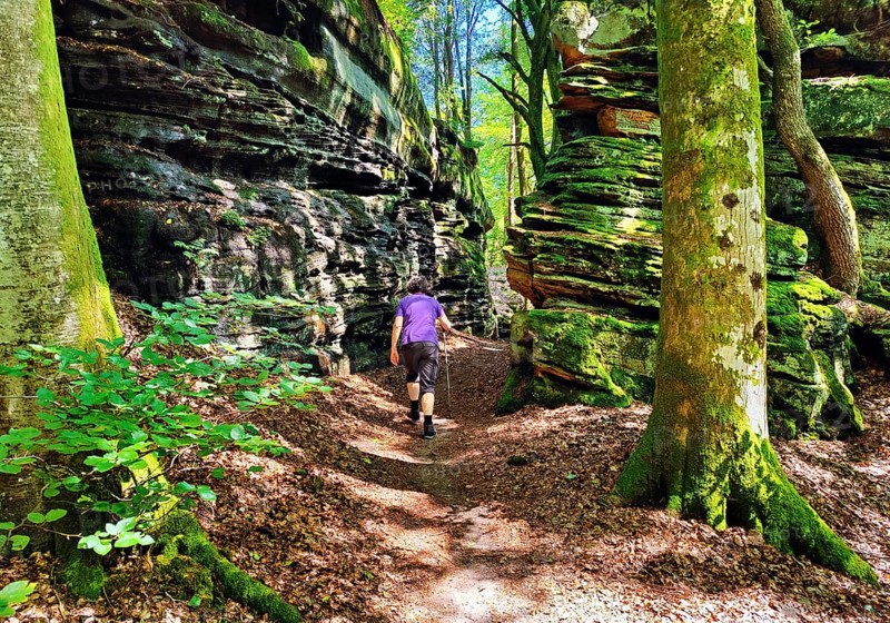 Bizarre red sandstone rock landscapes in the Sauerschweiz, Southern Eifel nature park Park, hiking trail, Bollendorf, Eifel, Rhineland-Palatinate, Germany, Europe