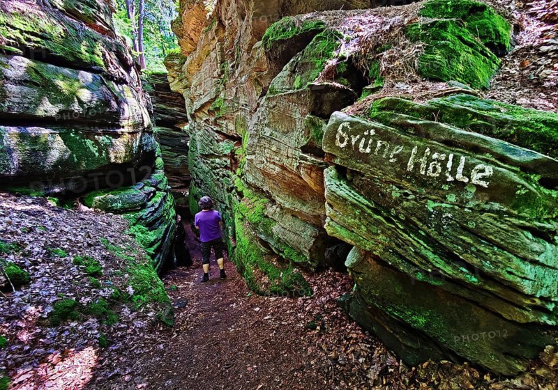 The Grüne Hölle gorge, hiking trail in the red sandstone in the Sauerschweiz, Southern Eifel nature park Park, hiking trail, Bollendorf, Eifel, Rhineland-Palatinate, Germany, Europe