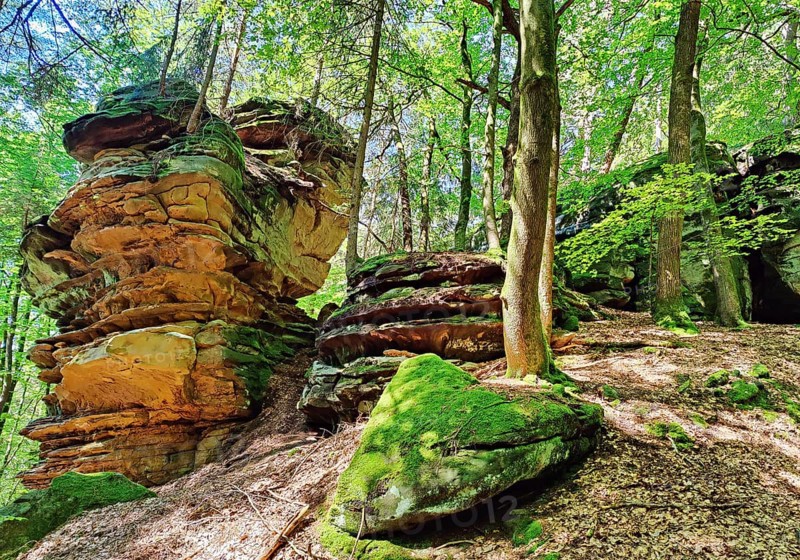 Bizarre red sandstone rock landscapes in the Sauerschweiz, Southern Eifel nature park Park, hiking trail, Bollendorf, Eifel, Rhineland-Palatinate, Germany, Europe