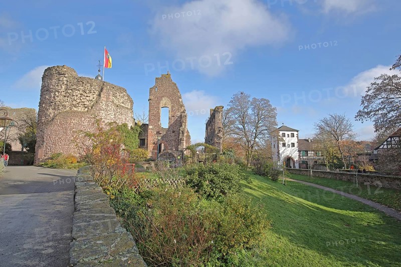 Romanesque palace of Hayn Castle and lower gate, gate tower, town gate, historical ruin, Dreieichenhain, Dreieich, Hesse, Germany, Europe