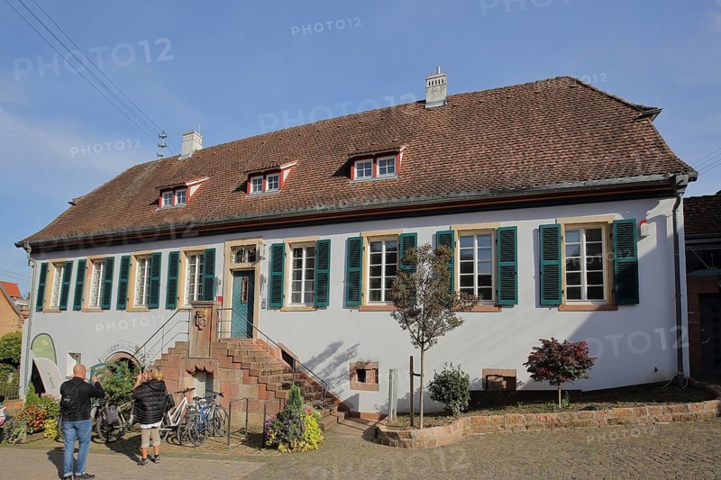 Historic winery of the Lords of Dalberg, Villa, Sankt Martin, Maikammer, German Wine Route, Rhineland-Palatinate, Germany, Europe