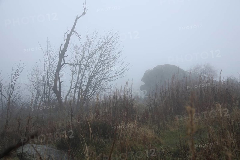 Legendary Brunhildis rock in the fog, stone figure, nature, gloomy, landscape, grey, monochrome, Grosser Feldberg, Schmitten, Taunus, Hesse, Germany, Europe