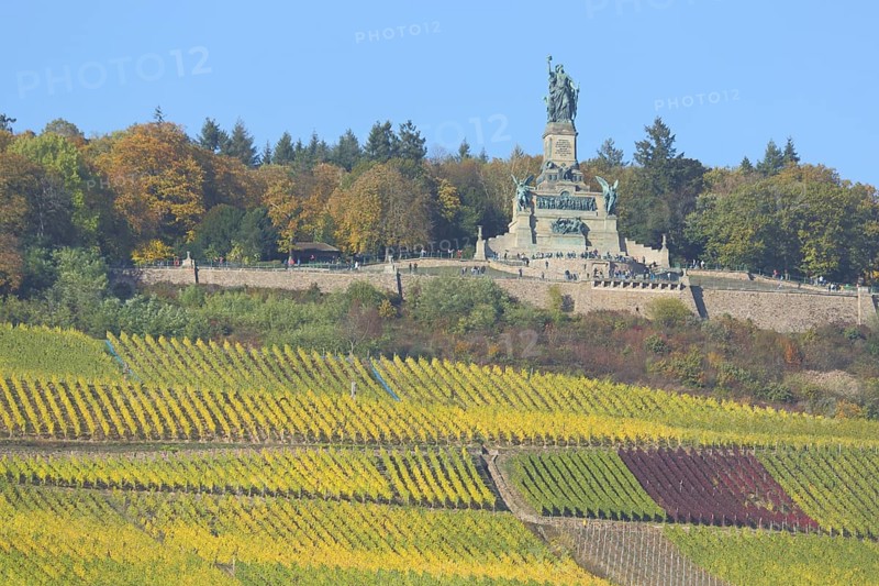 View of UNESCO Niederwald Monument with vineyards, vineyards, fields, autumn landscape, autumn, landscape, wine-growing area, Niederwald Monument, Rüdesheim, Rheingau, Taunus, Hesse, Upper Middle Rhine Valley, Middle Rhine Valley, Germany, Europe